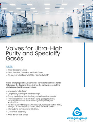 Ultra-High-Purity-valves